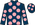 Silk Colours